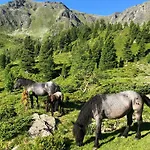 Feielhof 3*