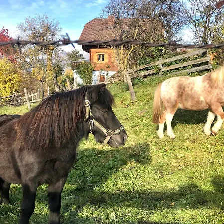 Gasthuis Feielhof Krakaudorf