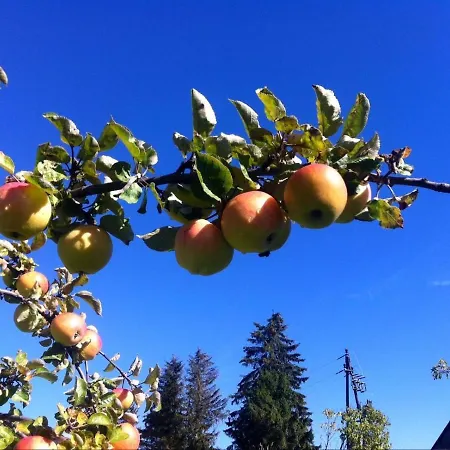Feielhof بيت ضيافة Krakaudorf