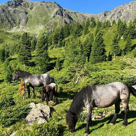 Feielhof 3*