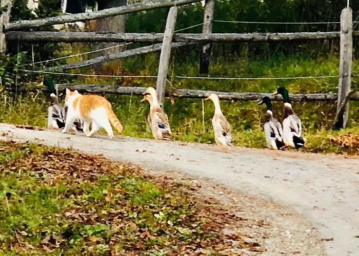 Feielhof Gasthuis Krakaudorf