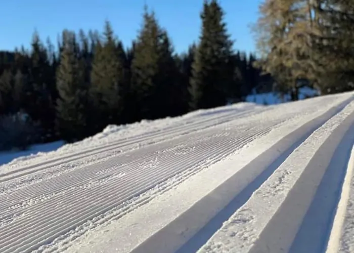 بيت ضيافة Feielhof 3*