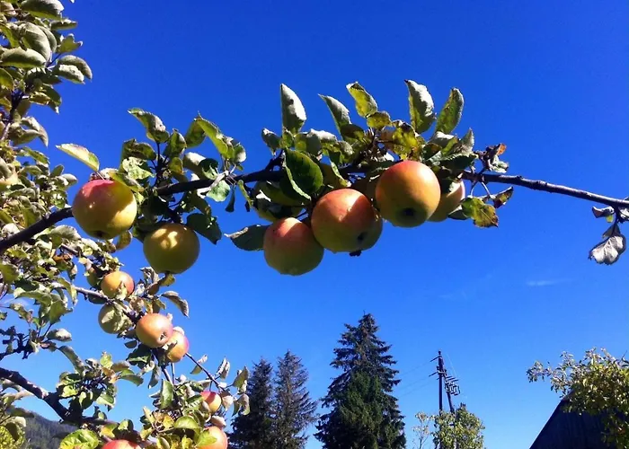 Feielhof بيت ضيافة Krakaudorf