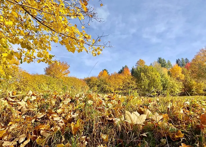 Feielhof بيت ضيافة Krakaudorf