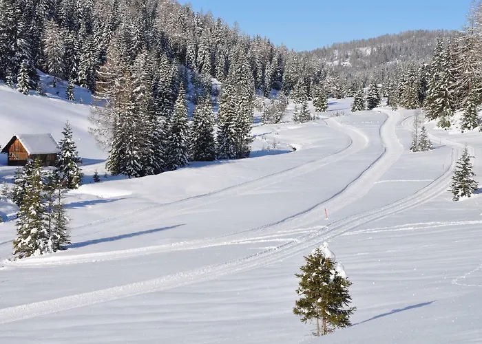 Feielhof بيت ضيافة 3*