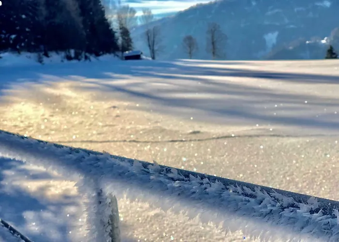 Feielhof بيت ضيافة 3*